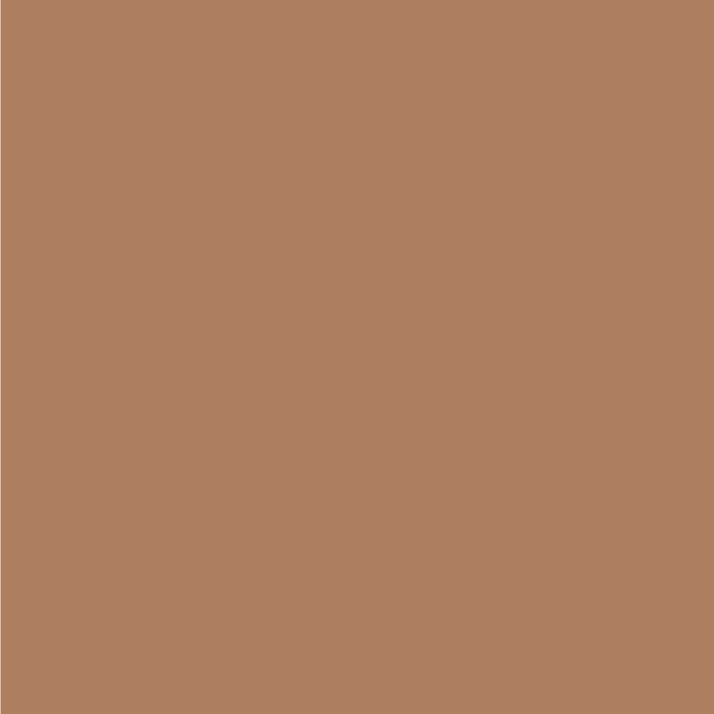 DogsNew - Dogs - New Light Brown