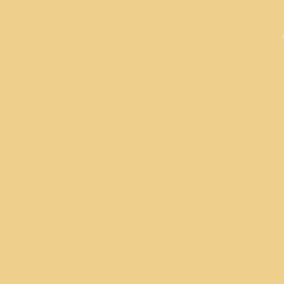 2023-Couple-Female - hair-001 yellow