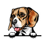 Light Brown Animal-Dog-Beagle-8ujjnyr-Color-Peeking
