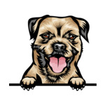 Light Brown Animal-Dog-Border-Terrier-8ujjnyrzzz-Color-Peeking