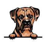 Brown Animal-Dog-Boxer-6yhkmc-Color-Peeking