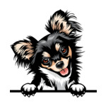 Black Animal-Dog-Chichihua-8kkkfv5abce-Color-Peeking