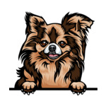 Light Brown Animal-Dog-Chichihua-8ujjnyrz-Color-Peeking