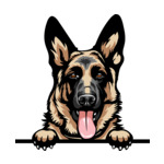Light Brown Animal-Dog-German-Shepherd-r5fvgb-Color-Peeking