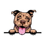Light Brown Animal-Dog-Pit-Bull-r5fu-Color-Peeking