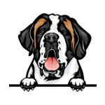 Black Animal-Dog-Saint-Bernard-8ujjnyrzzz-Color-Peeking