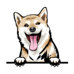 Light Brown Animal-Dog-Shiba-Inu-8jjj4rffffffffyy-Color-Peeking