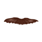 brown B4-(5)