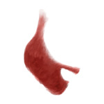red B51-(5)
