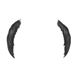 Black Balding---Black