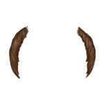Brown Balding---Brown