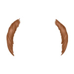 Ginger Balding---Ginger