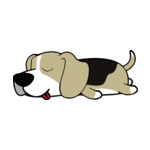 Mix Beagle2