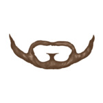 Beard---Brown
