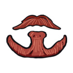 red Beard-3-(1)