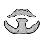 white Beard-3-(6)