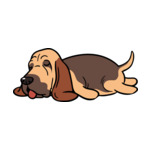 Brown Bloodhound-2