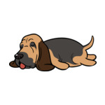 Brown Bloodhound