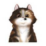 Long Hair Cat--(10)