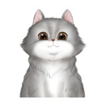 Long Hair Cat--(12)