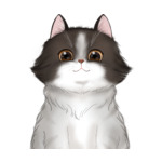 Long Hair Cat--(13)