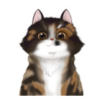 Long Hair Cat--(14)