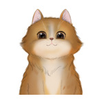 Long Hair Cat--(15)