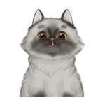 Long Hair Cat--(1)