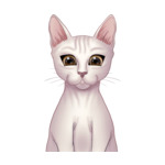 Sphinx Cat--(1)