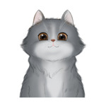 Long Hair Cat--(2)
