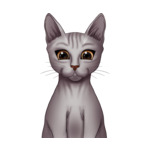 Sphinx Cat--(2)