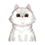 Long Hair Cat--(4)