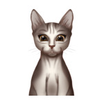 Sphinx Cat--(5)