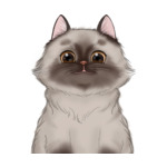 Long Hair Cat--(5)