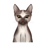 Sphinx Cat--(7)