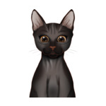Sphinx Cat--(8)