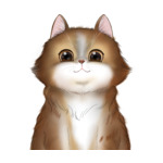 Long Hair Cat--(8)