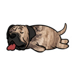 Mix English-Bulldog1