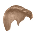 blonde H54-(12)
