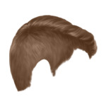 light brown H54-(9)