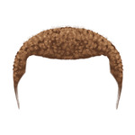 light brown Hairstyles-31