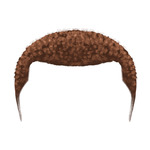 brown Hairstyles-32