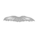 Gray Mustache