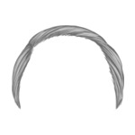 Gray Old---Gray
