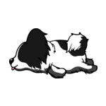 Mix Papillon