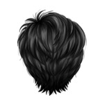 Black Pixie_1-3