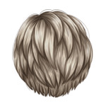 Gray Pixie_2-7