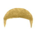 Blonde Short---Blonde