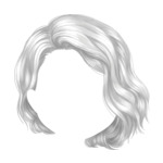 Gray Short-Wavy