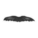 beard-2-(1)